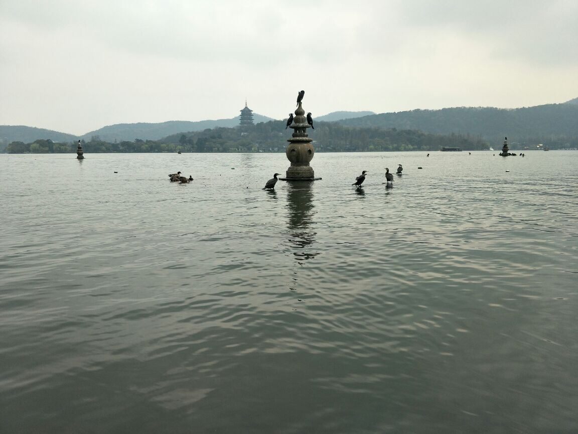 美丽的西湖首先要感谢杭州市委让西湖景区取消门票