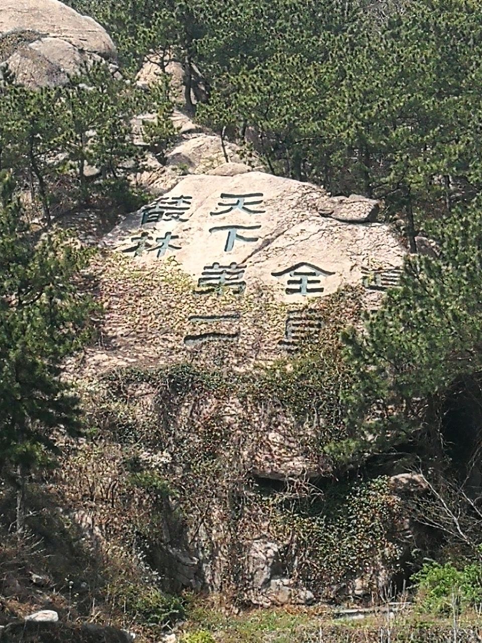 崂山太清宫景区旅游景点攻略图