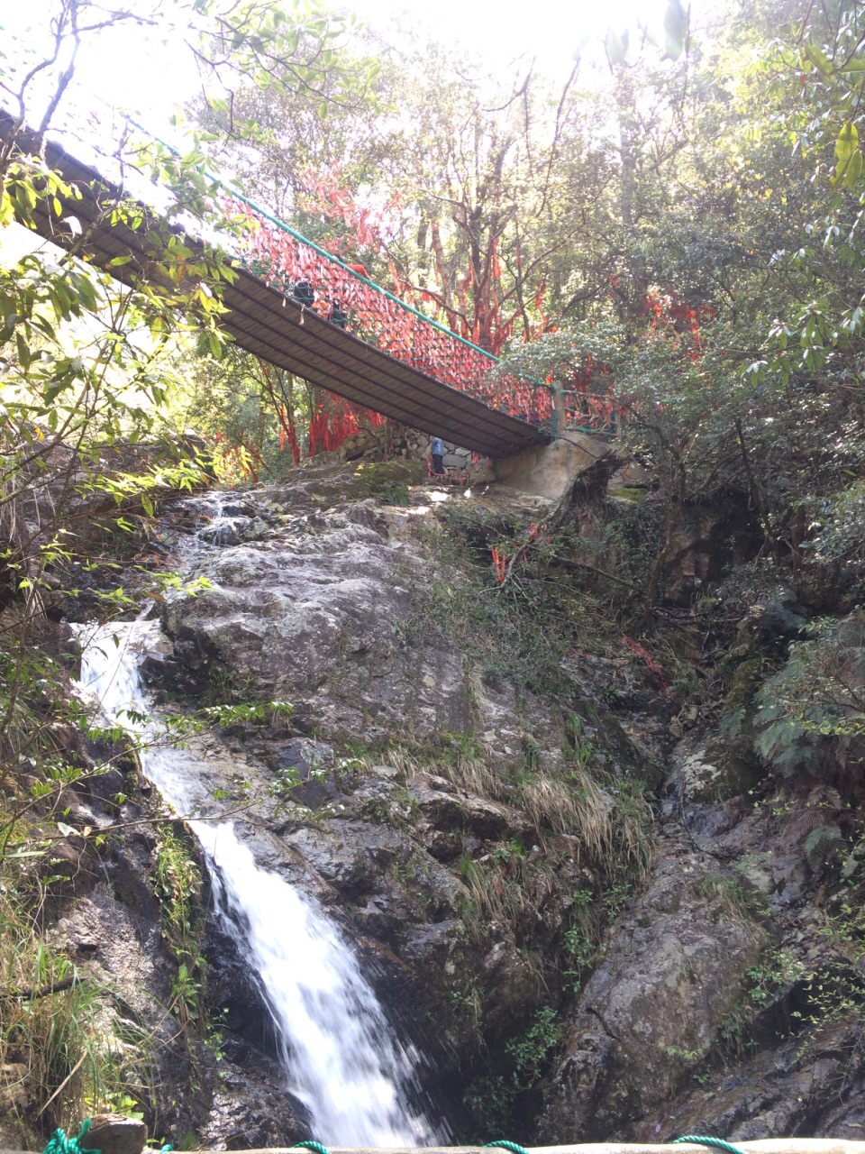 2019百山祖景区_旅游攻略_门票_地址_游记点评,庆元