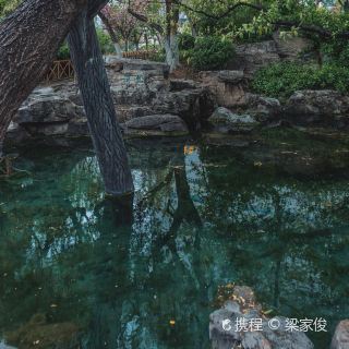 虬溪泉
