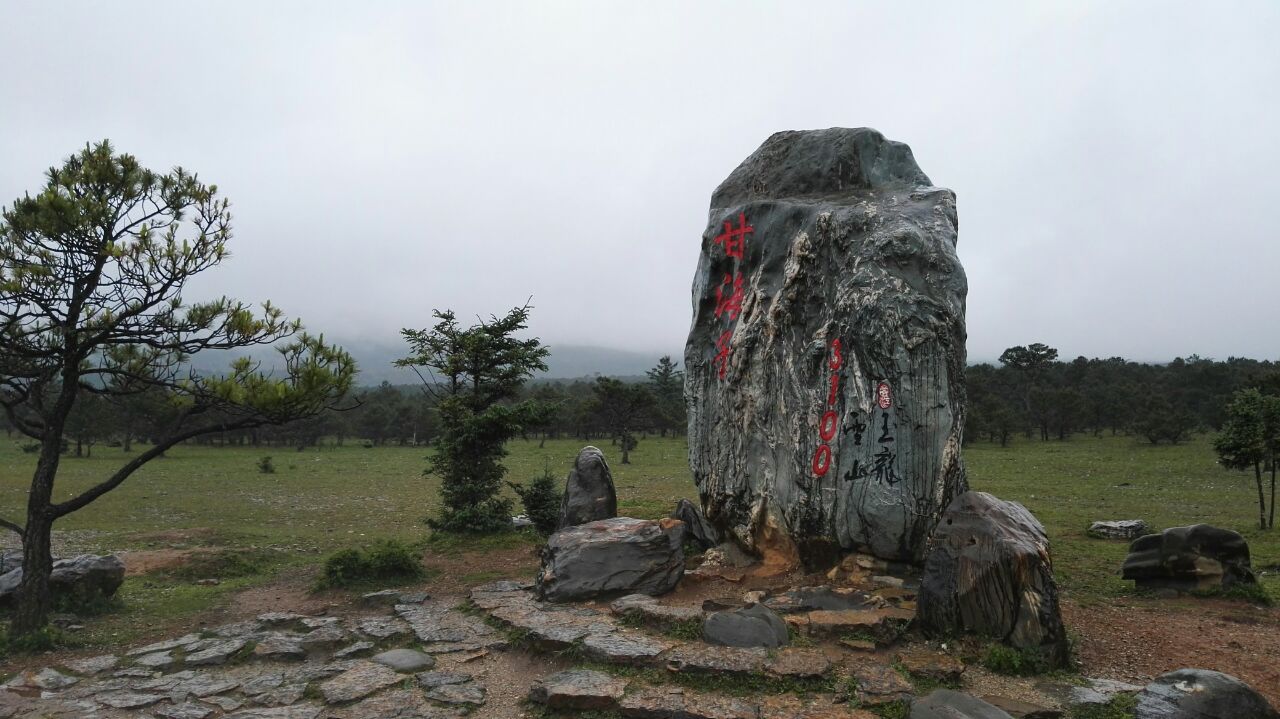甘海子