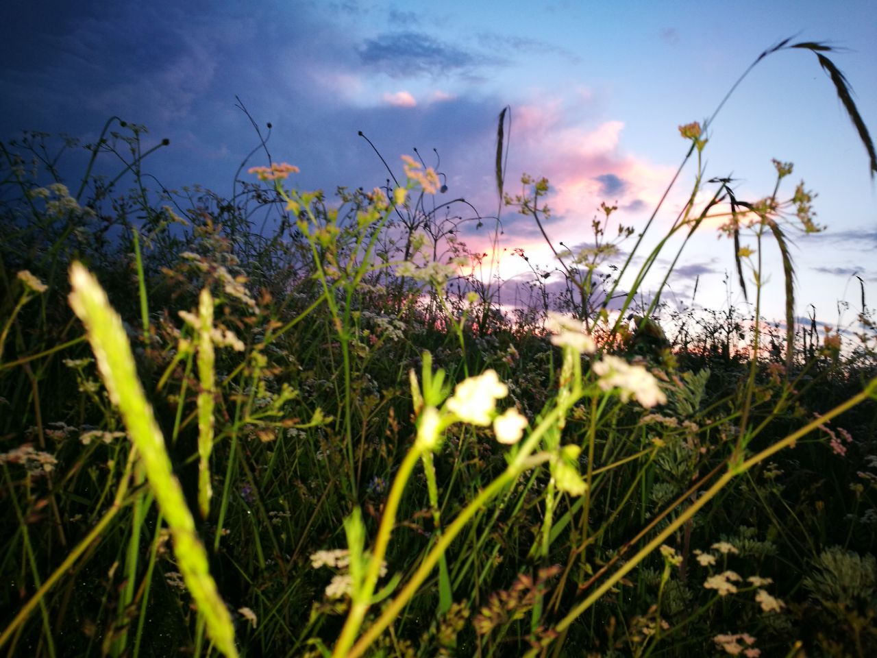 一个人无车住草原,跪求路线规划