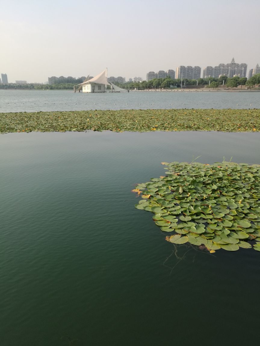 暨阳湖生态园区旅游景点攻略图