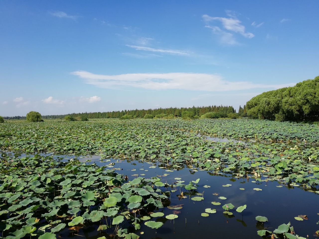 洪湖生态旅游风景区旅游景点攻略图