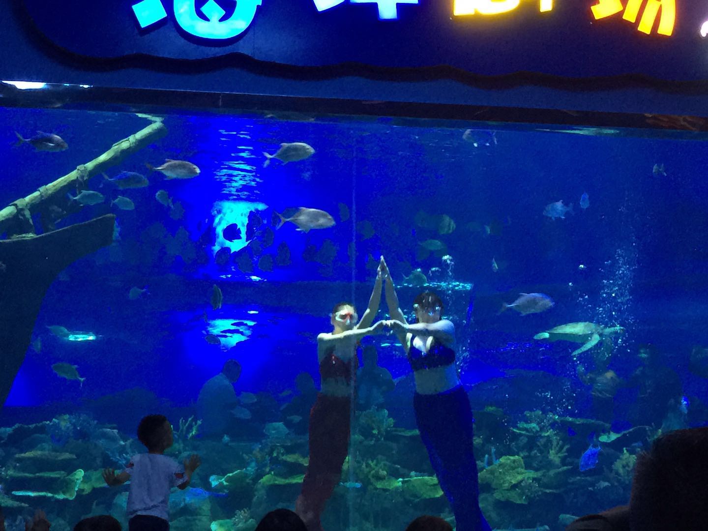 溱湖海洋世界