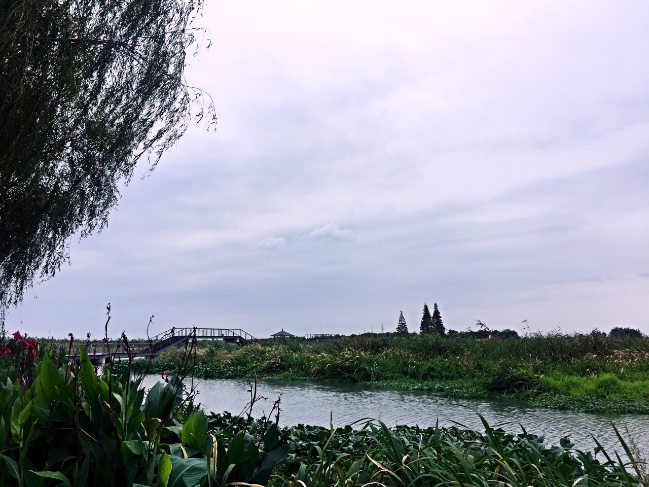 上海青西郊野公园攻略,上海青西郊野公园门票/游玩