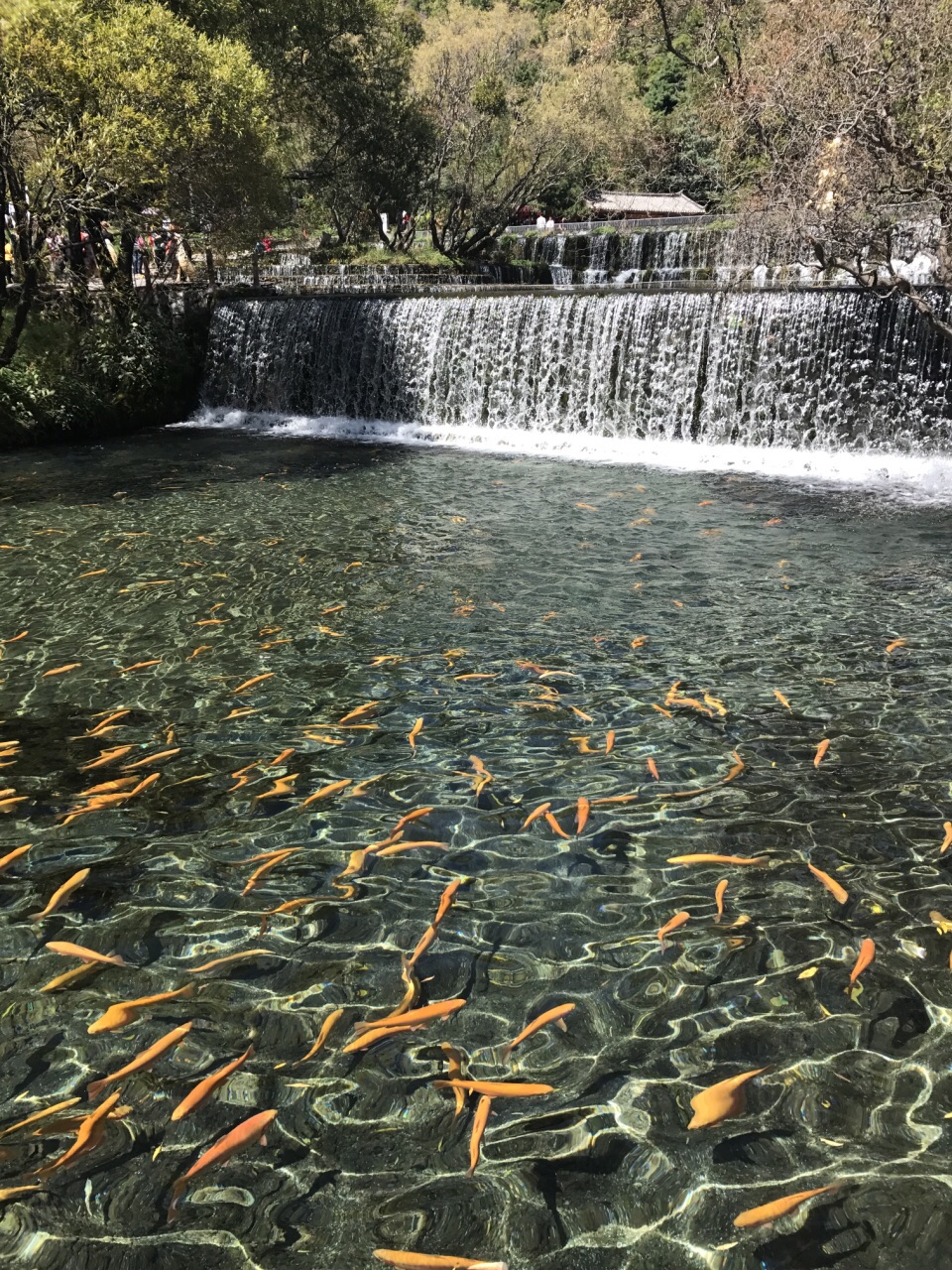 玉水寨旅游景点攻略图