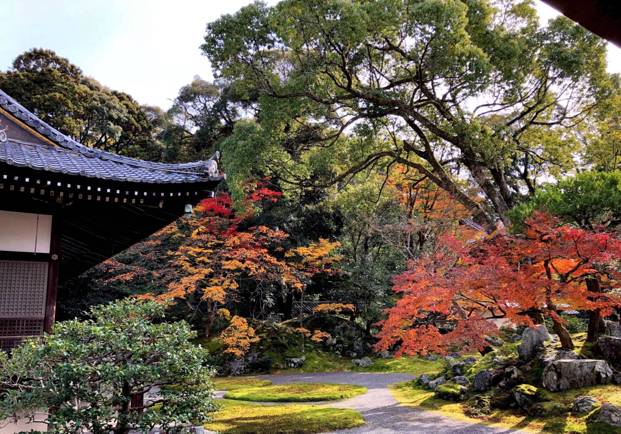 醍醐寺