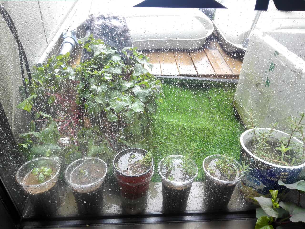 最爱的下雨天,听着小曲,望着窗外偶行色匆匆的行人,生活不易,突然感觉