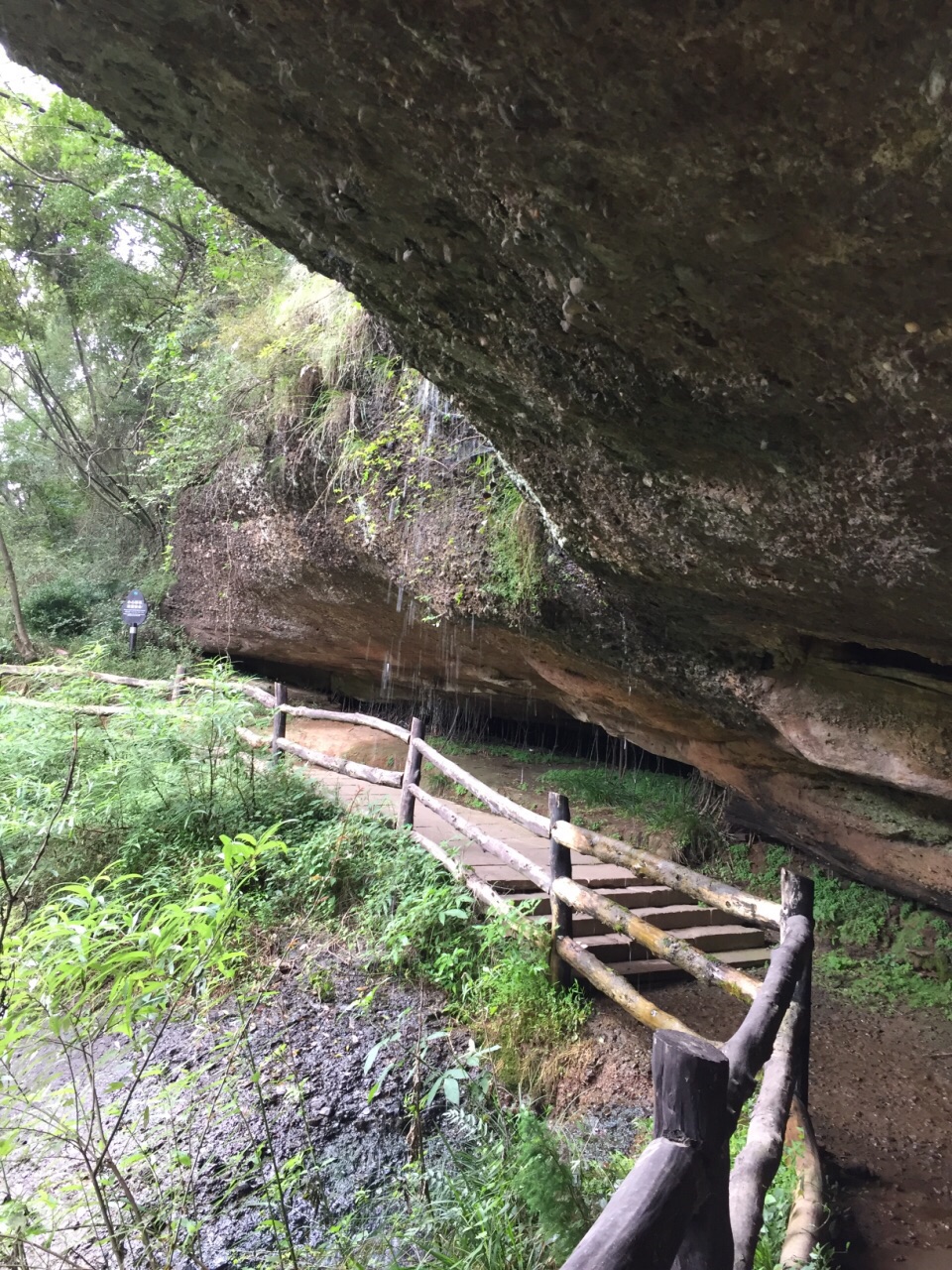 路经大剑山,见山势险峻,便令军士凿山岩,架飞梁,搭栈道,助其六出祁山