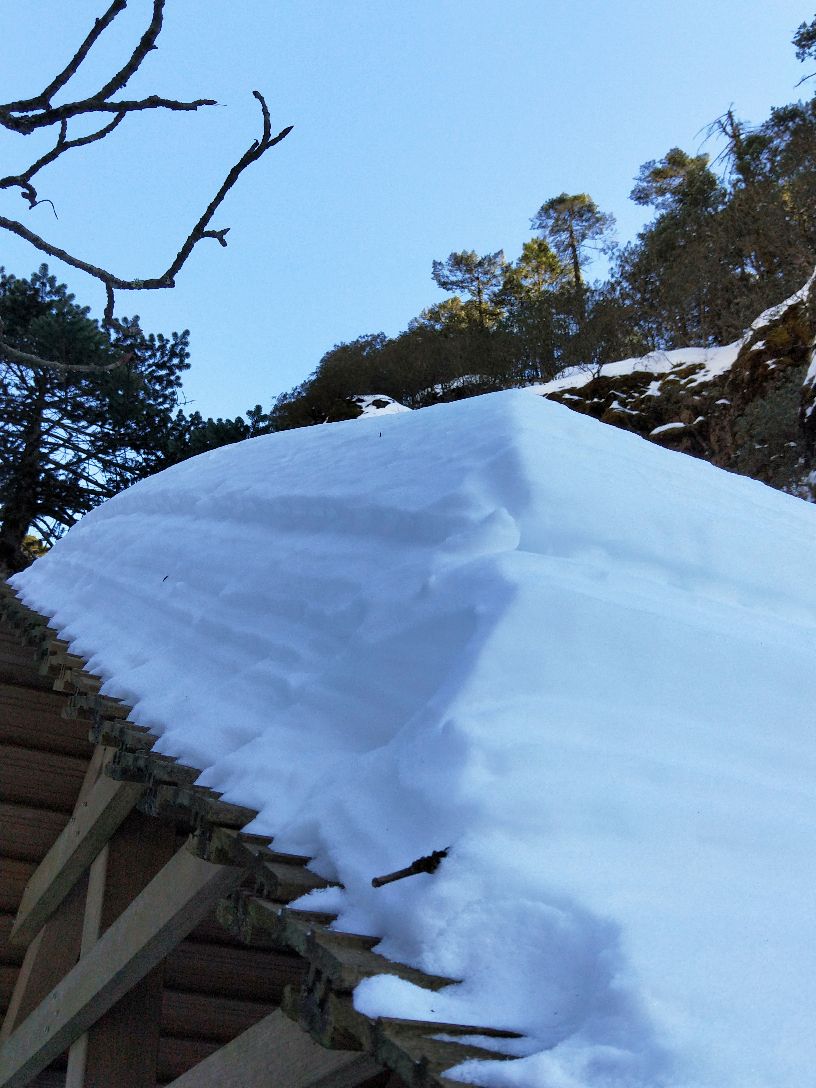 轿子雪山