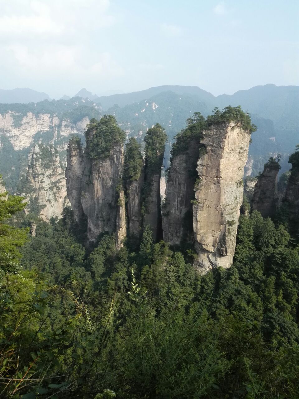 五指峰位于湖南省张家界市.