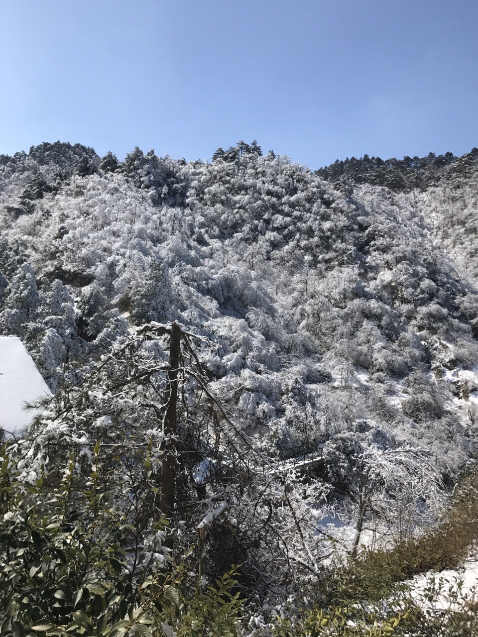 大明山万松岭滑雪场