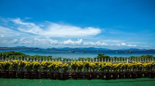 支持送 08:45集合点 国光豪生度假酒店美丽新海岸绿海田园碧海