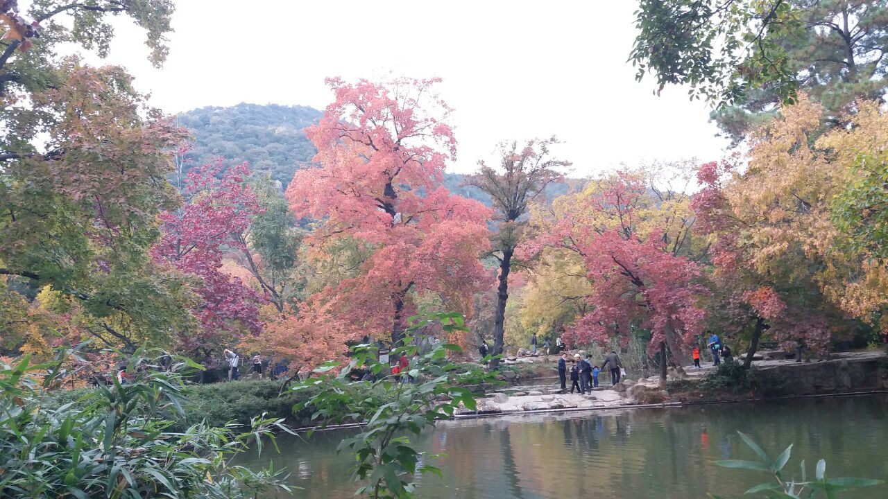 天平山风景区