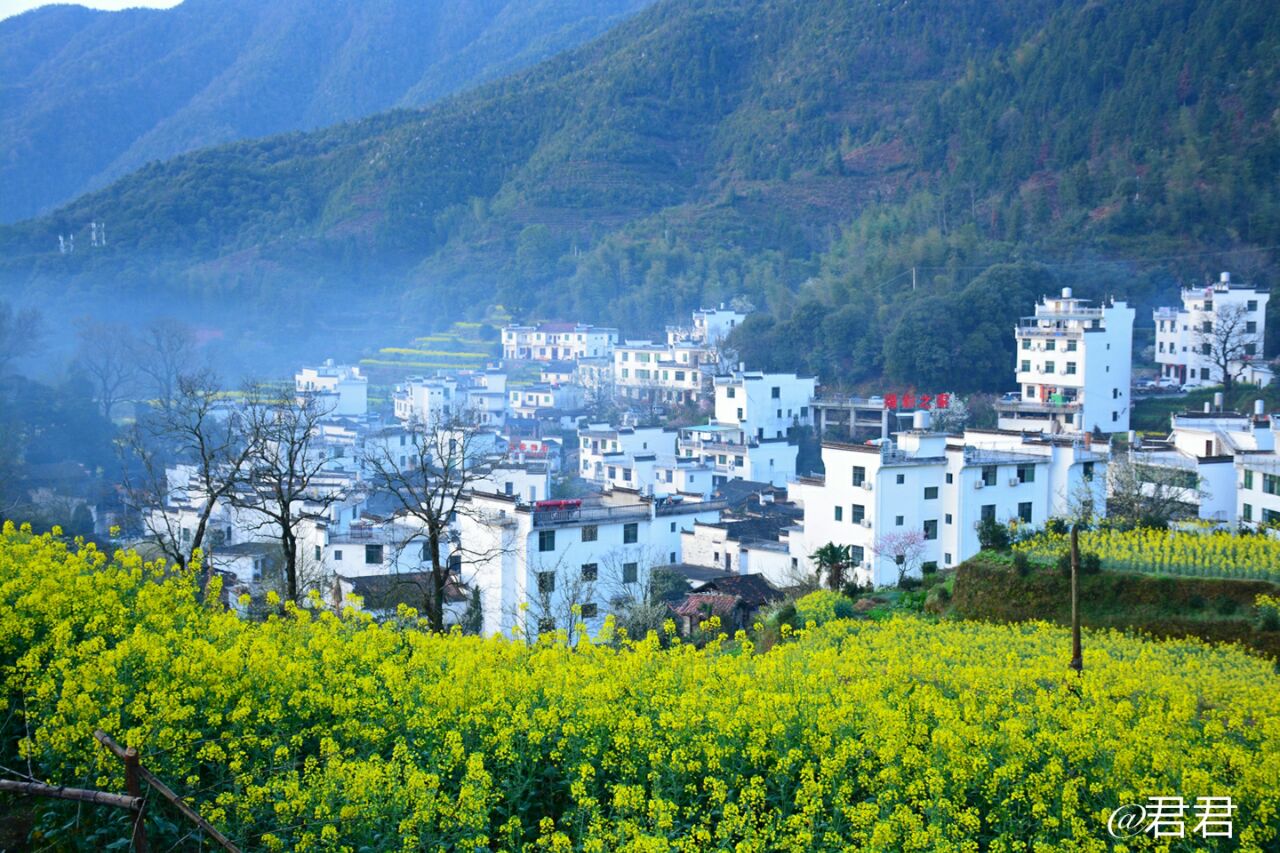 婺源江岭景区好玩吗,婺源江岭景区景点怎么样_点评