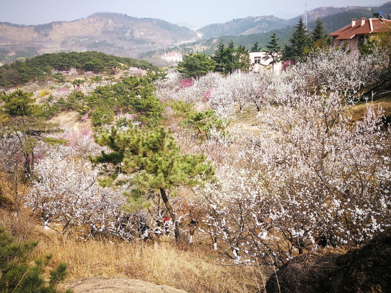 十梅庵风景区