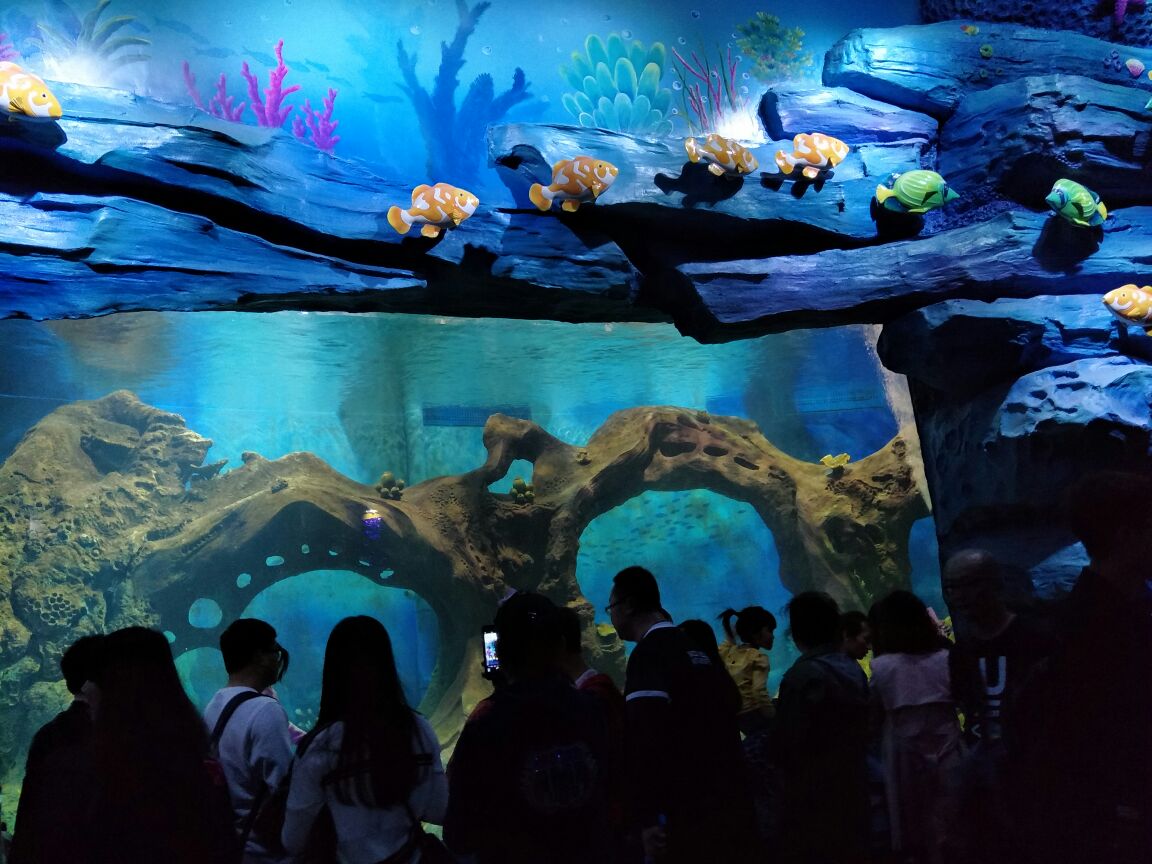 西安曲江海洋极地公园好玩吗,西安曲江海洋极地公园样