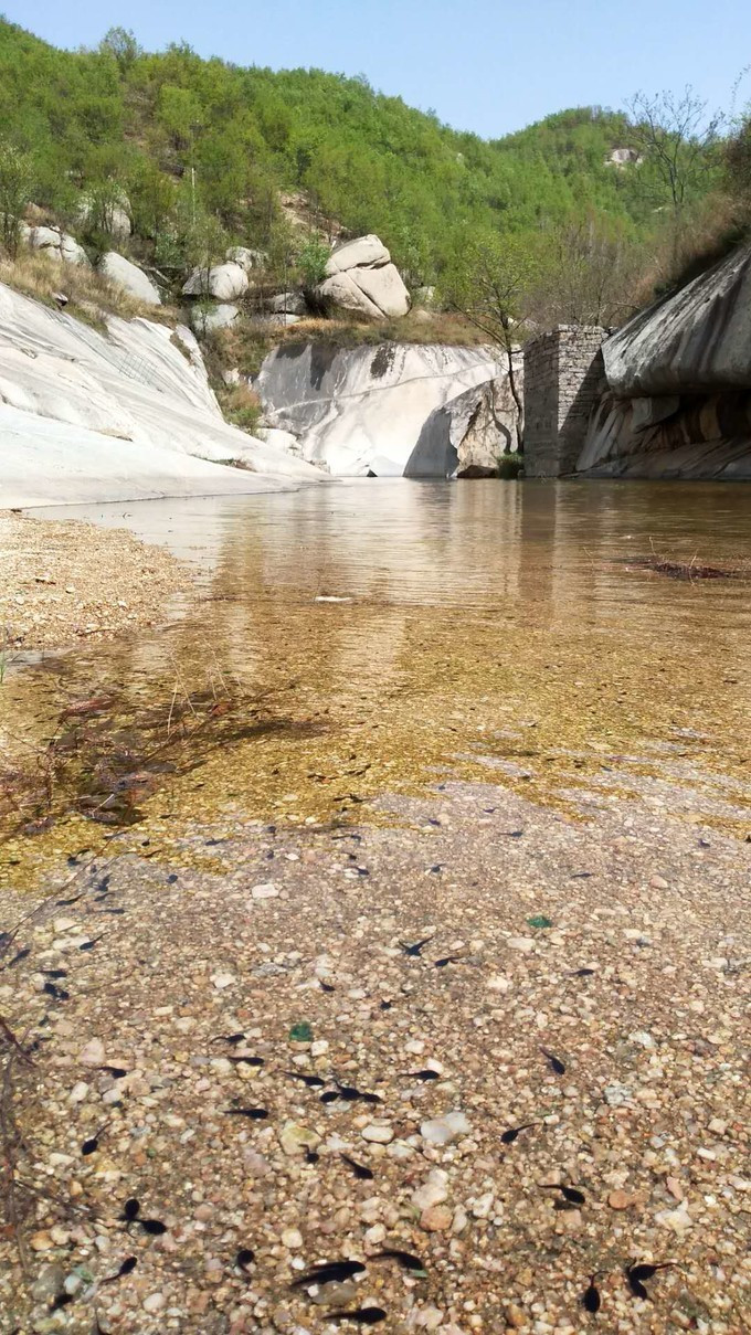 镇平县这处免费景点,慈禧太后曾御赐匾额,有美景更有美味!