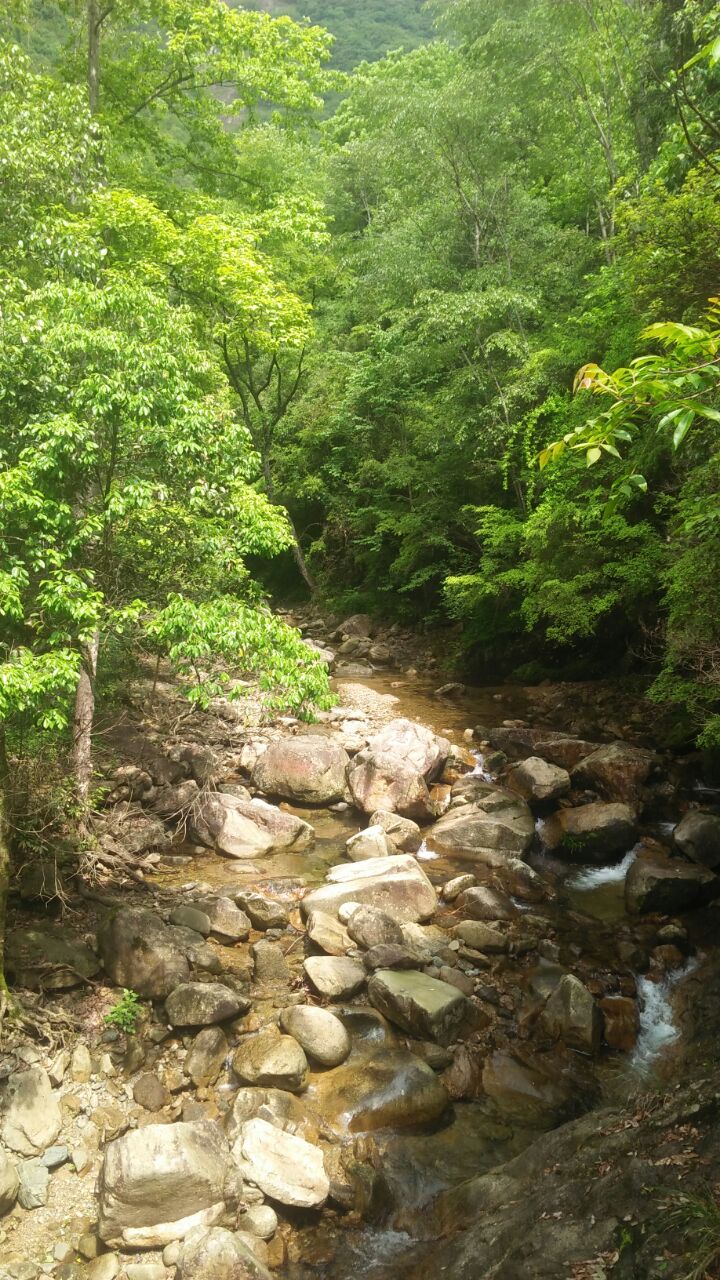 石台醉山野度假区好玩吗,石台醉山野度假区景点怎么样