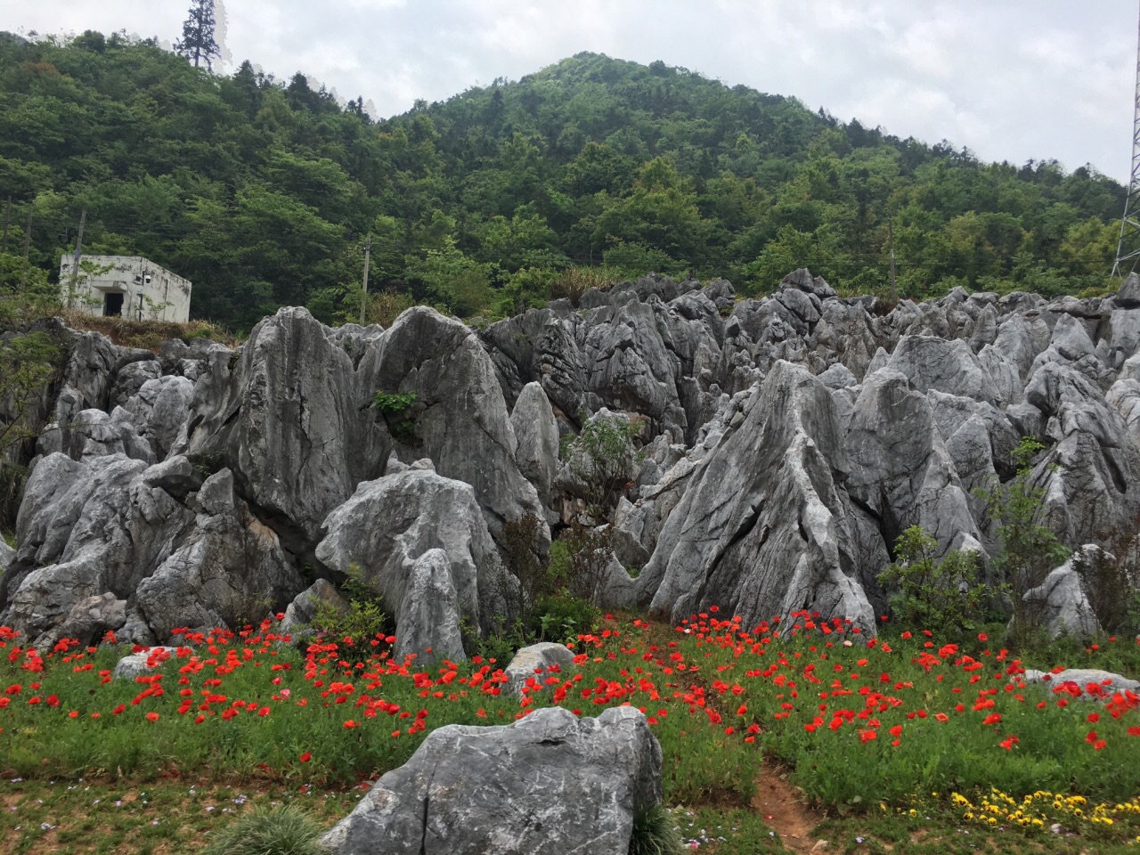 千岛湖石林景区