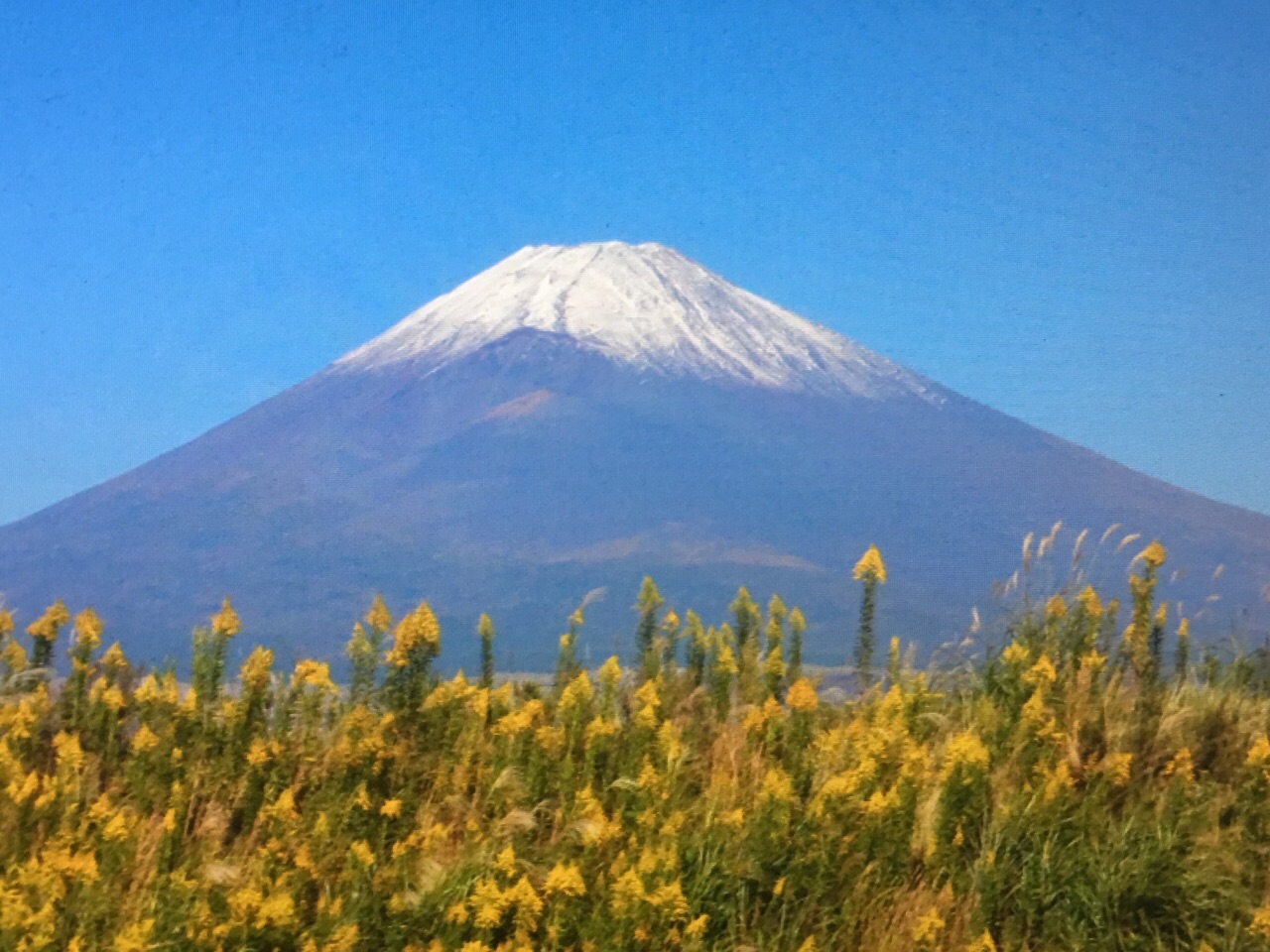 【携程攻略】富士山须走口五合目景点,日本,富士山.山