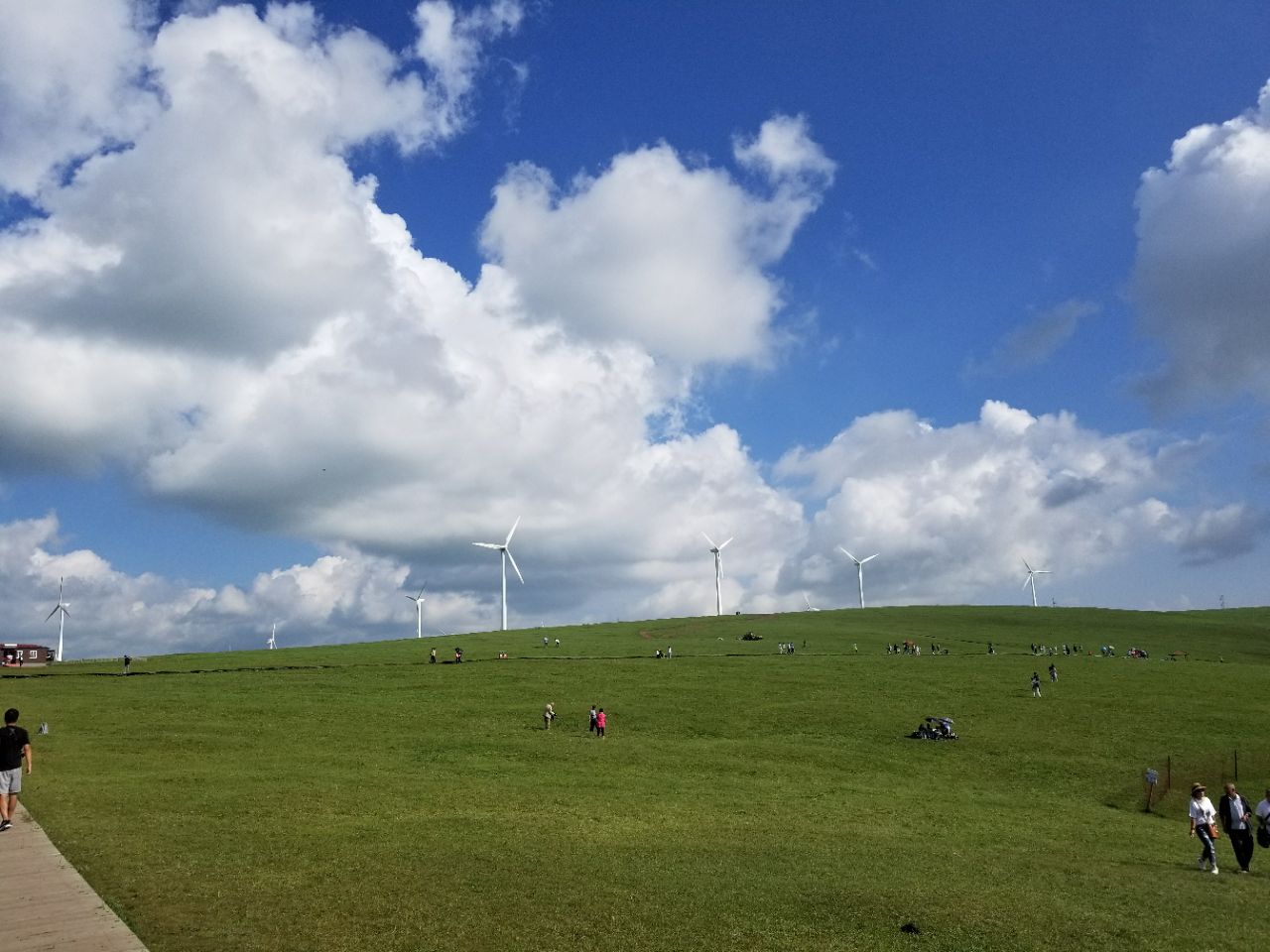 【携程攻略】察右中旗辉腾锡勒黄花沟草原旅游区景点,风景没得说不过