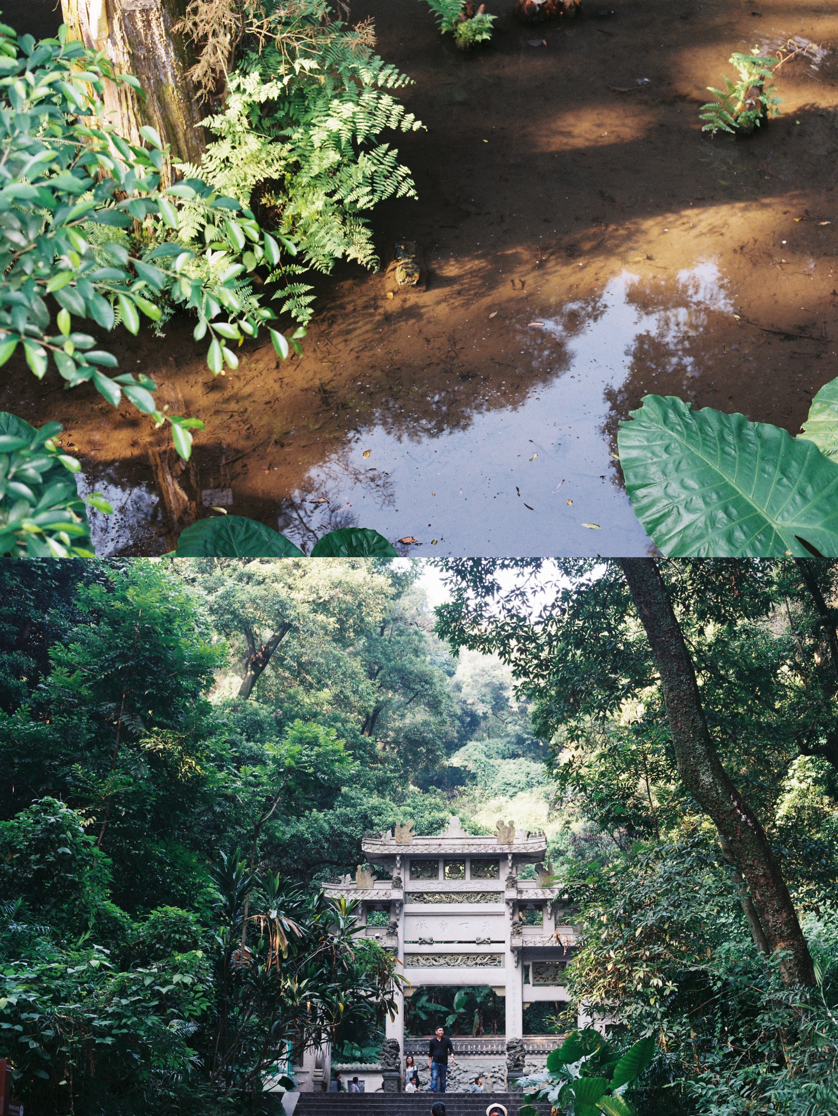 南华寺旅游景点攻略图