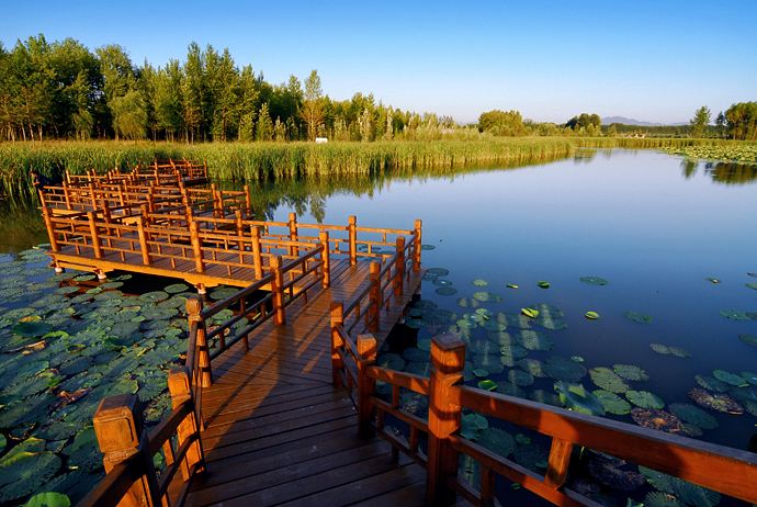 延庆区有一个北京野鸭湖国家湿地公园,就在世界文化遗产八达岭长城