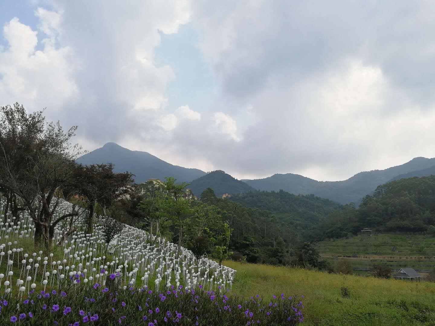 2019十里蓝山_旅游攻略_门票_地址_游记点评,长泰旅游