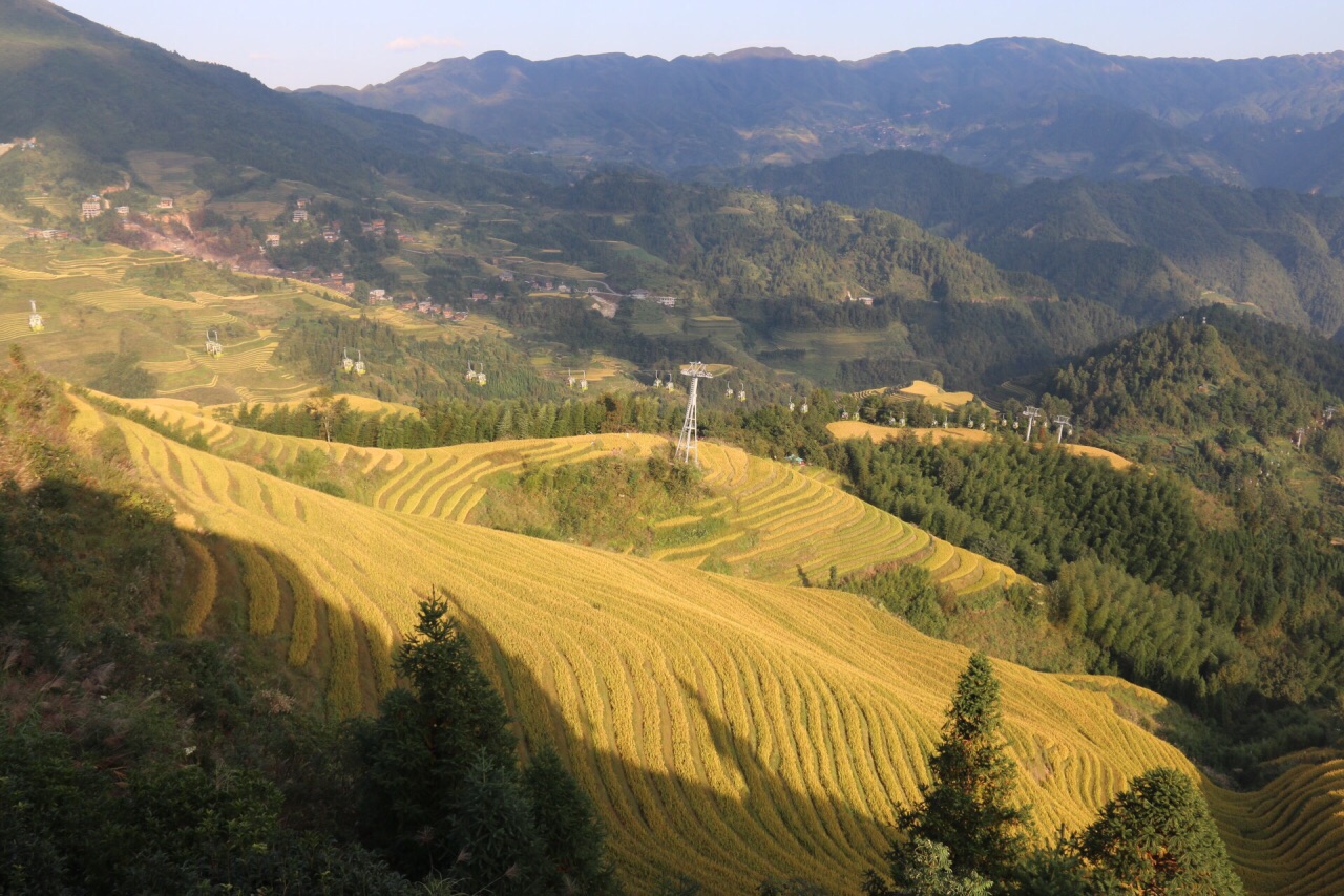 龙脊大寨距离龙脊梯田景区门口有24公里,蜿蜒曲折的山路尽头,藏着极为