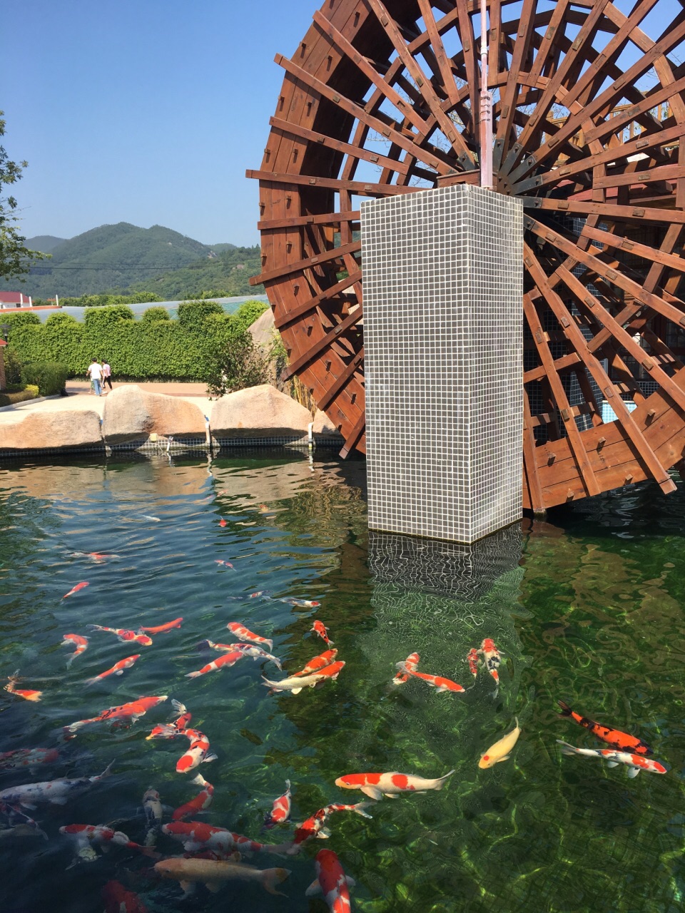 漳浦漳州东南花都好玩吗,漳浦漳州东南花都景点怎么样