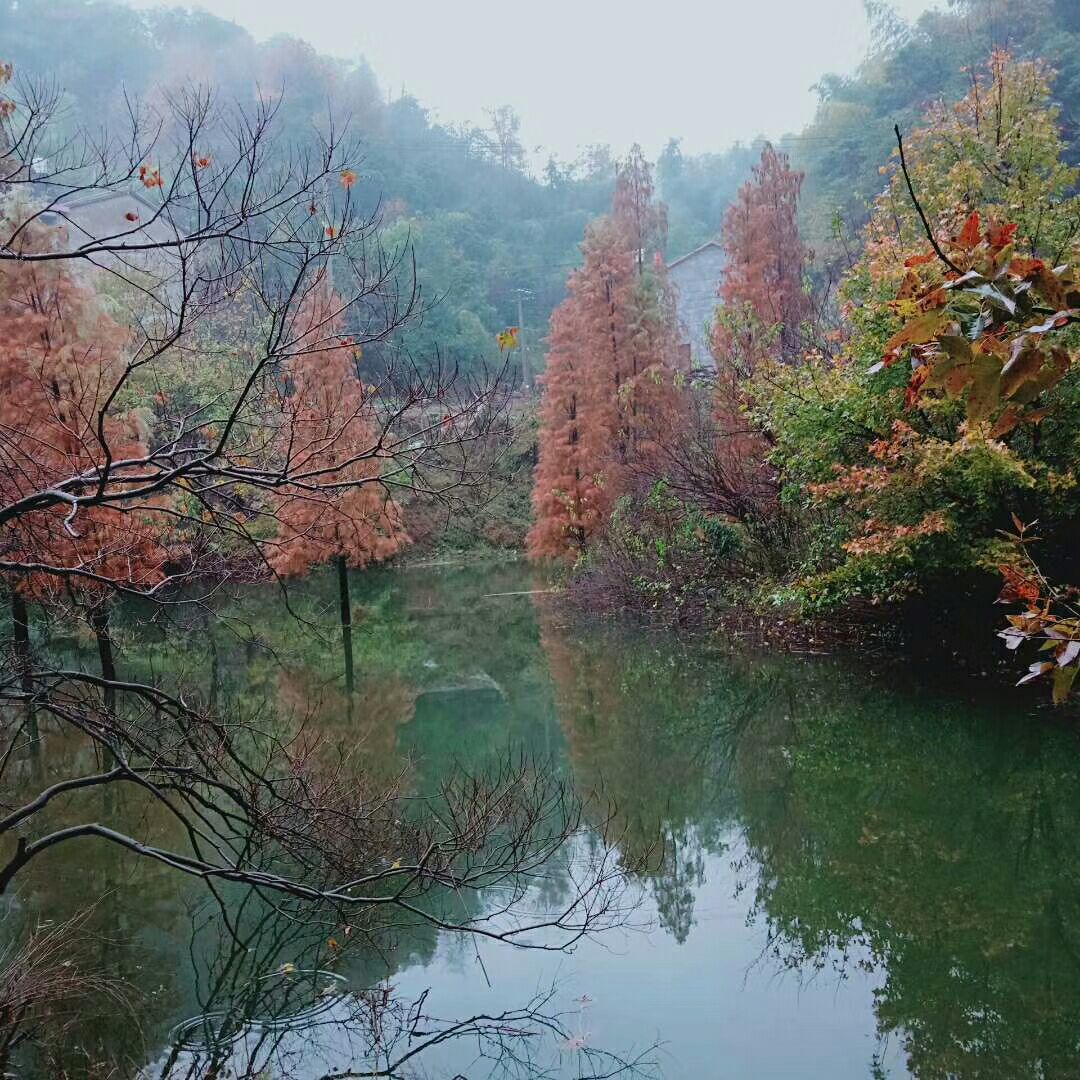 2019会稽山风景区_旅游攻略_门票_地址_游记点评,绍兴