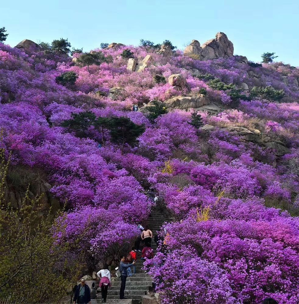 青岛大珠山风景区攻略,青岛大珠山风景区门票/游玩