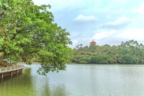 虎英郊野公园