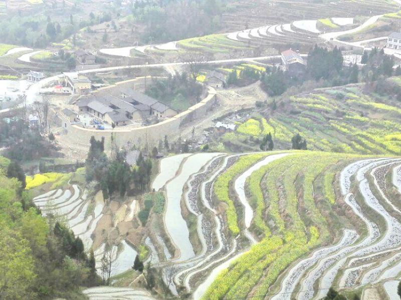 安康凤堰古梯田攻略-凤堰古梯田门票价格多少钱-团购