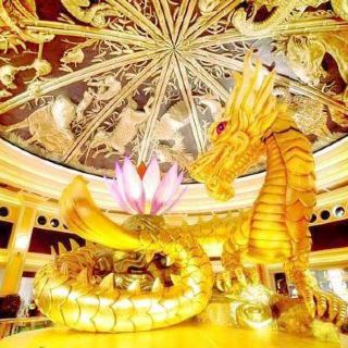 永利吉祥树富贵龙