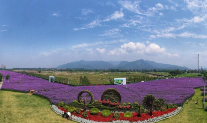 富阳花海蓝田 其它景点 景点与地标 距景点2.9km