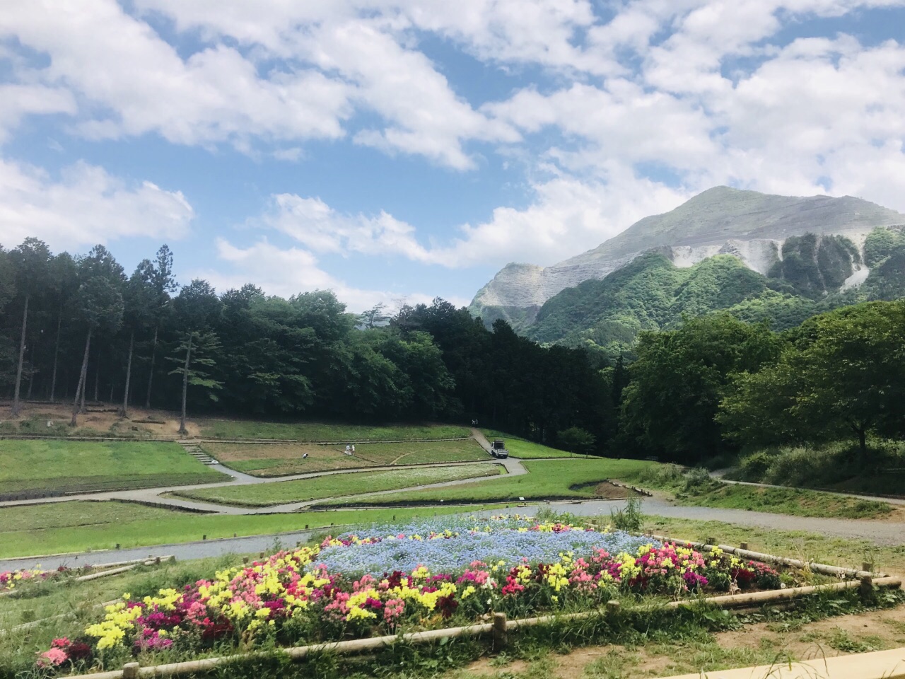 羊山公园旅游景点攻略图