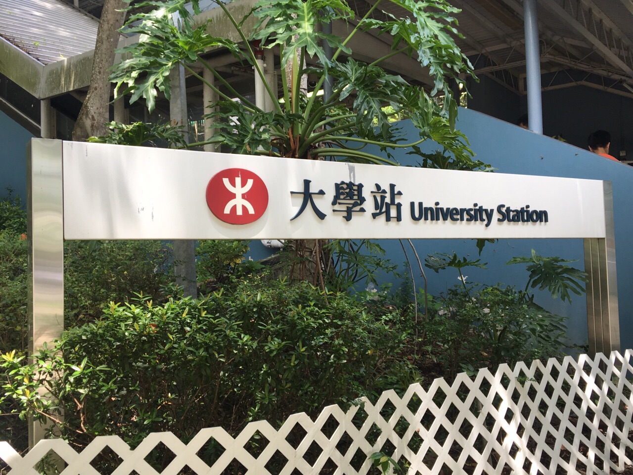 香港中文大学