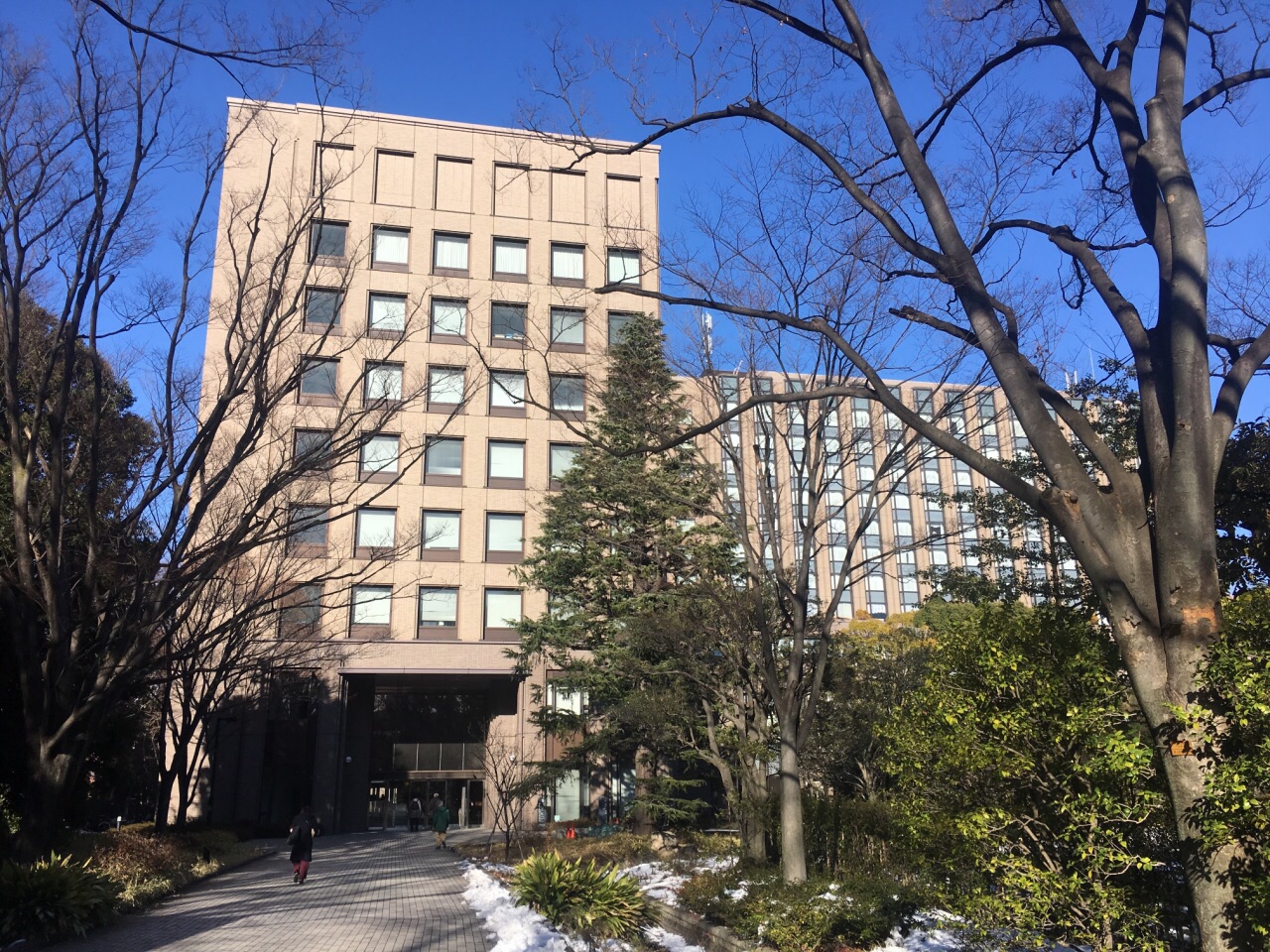 2019早稻田大学_旅游攻略_门票_地址_游记点评,东京旅游景点推荐 去