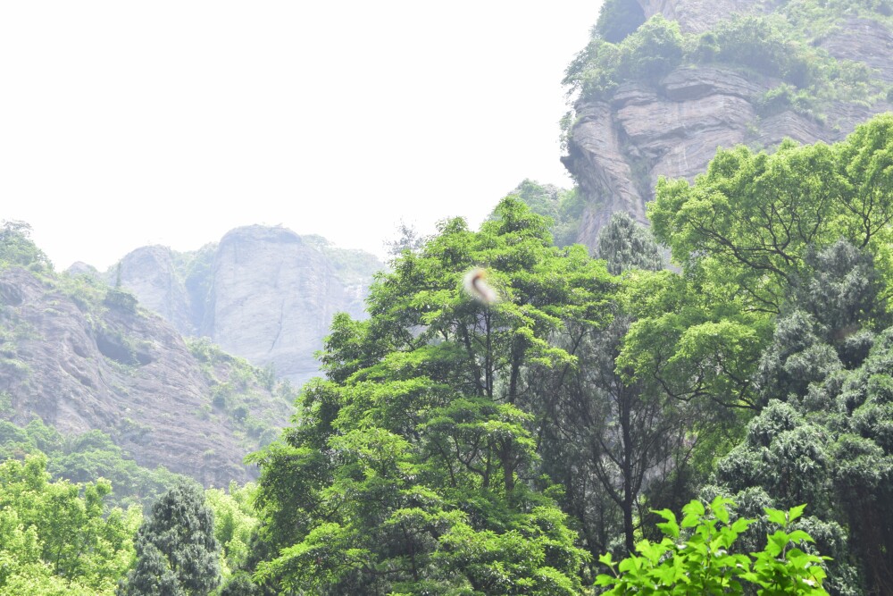 灵岩景区