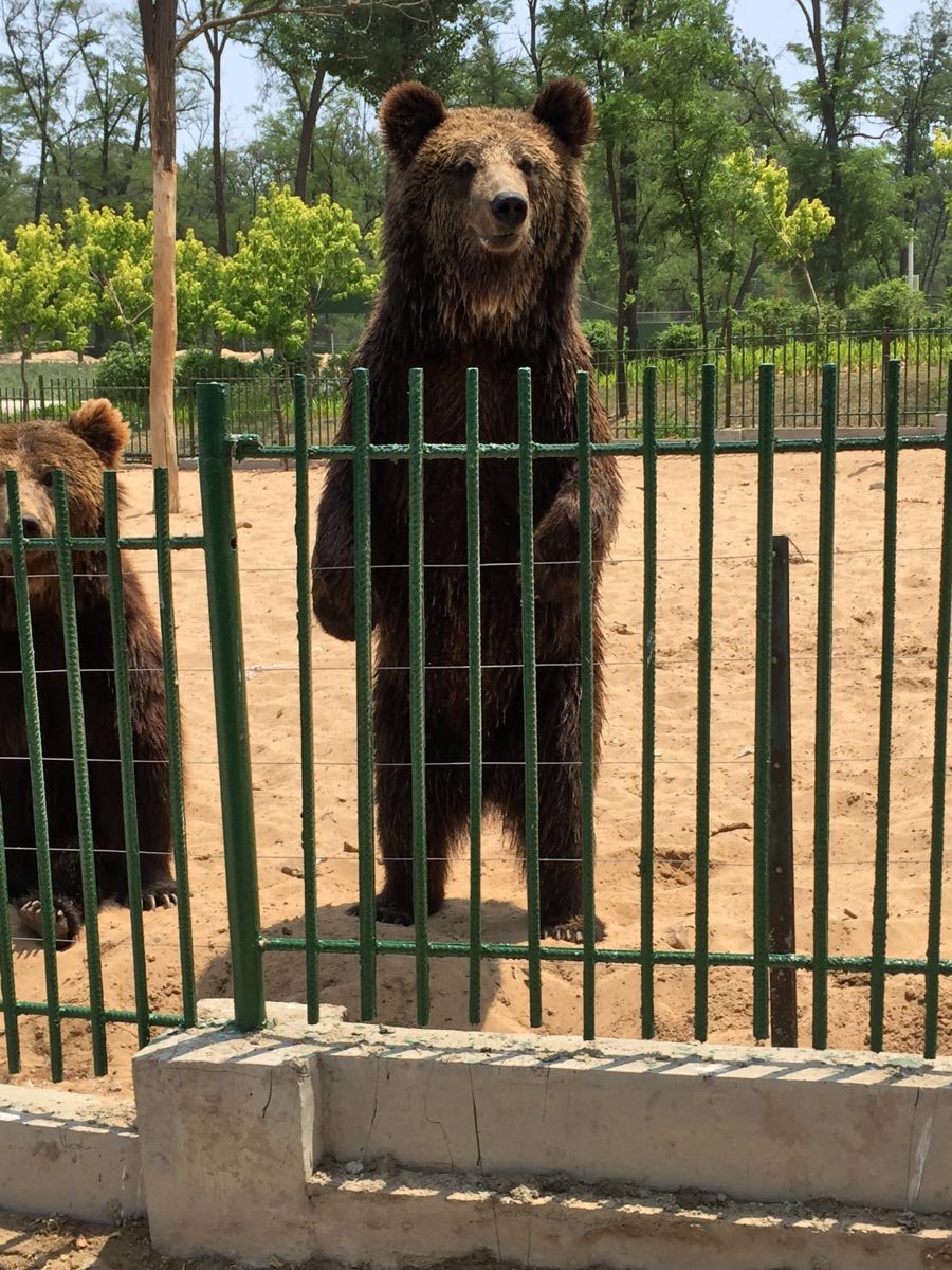 秦皇岛野生动物园