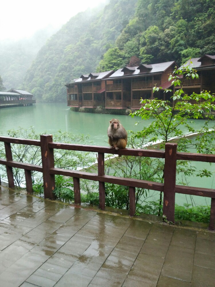 【携程攻略】重庆南川神龙峡风景区好玩吗,南川神龙峡