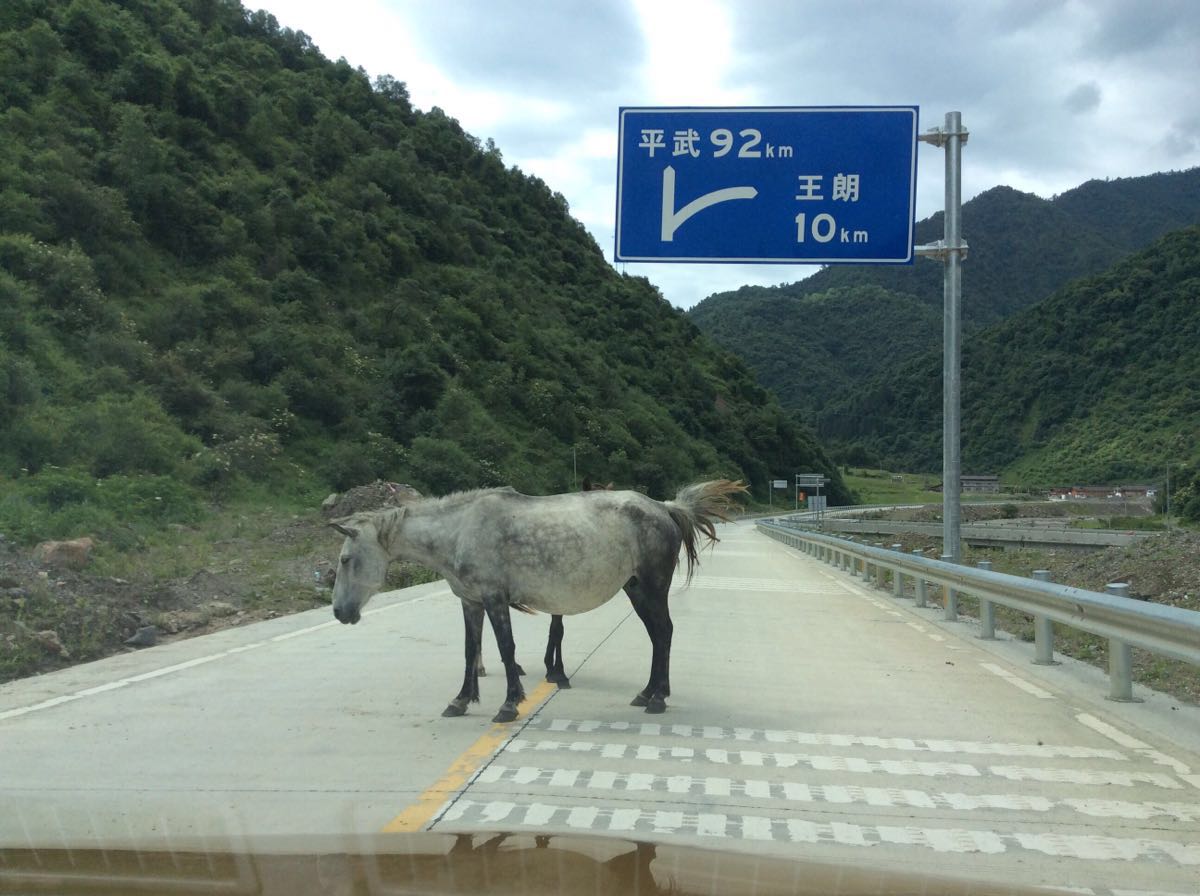 ʼȻ