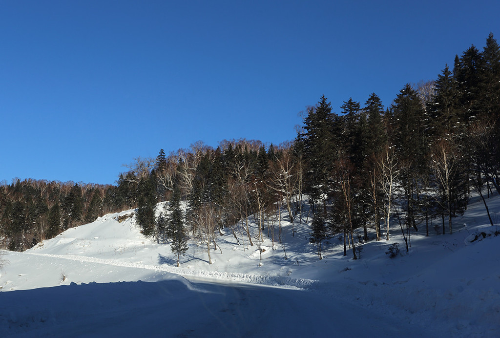 冬季到小兴安岭来看雪