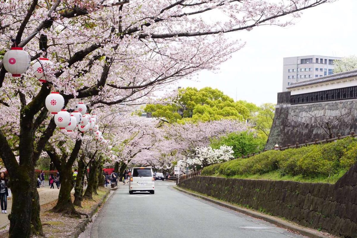 熊本城