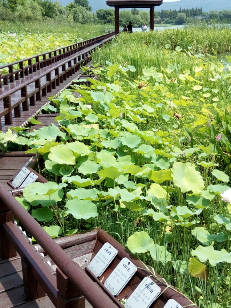 拂水山庄旅游景点攻略图