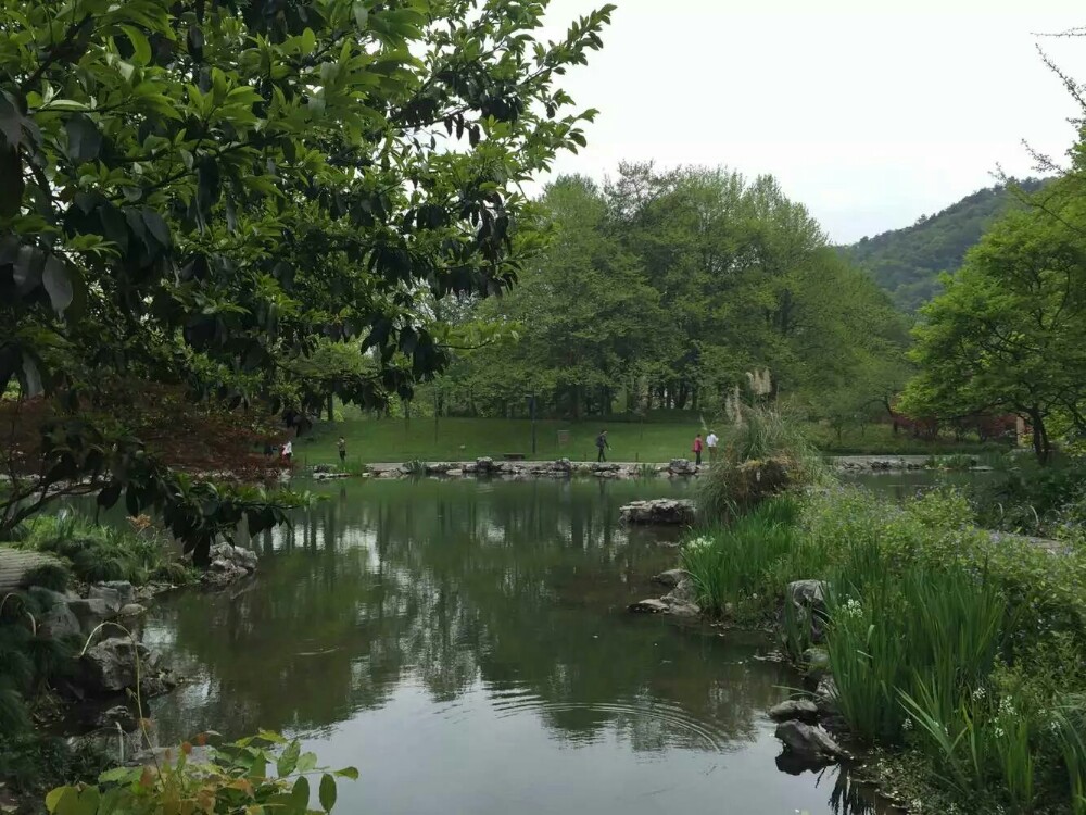 太子湾公园手绘