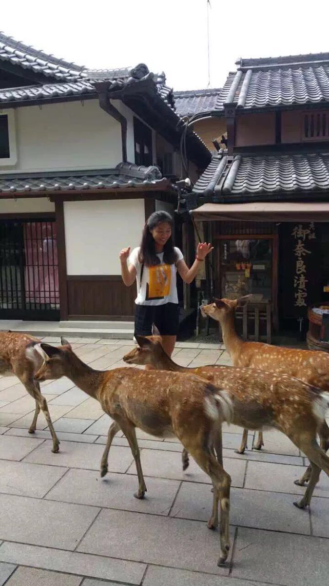 去奈良玩好多人应该都是奔着奈良公园的小鹿吧。整个公园都随处可见,据听说这些小鹿每次从游客手中吃到饼干后会点头以表示感谢,事实上的确是有看到这个行为,然而不晓得是不是再表示感谢,哈哈。虽然大多数小鹿头上的犄角已经去掉,特别友善,但亲们还是要注意,我有朋友就被撞的不轻哈.